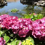 Отель Rural A Quinta Santo Antonio da Serra
