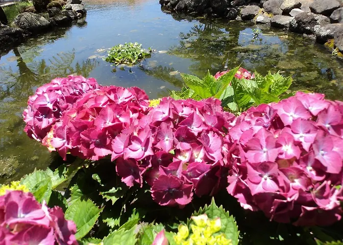 Hotel Rural A Quinta Santo Antonio da Serra